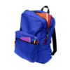 Purple School Bag